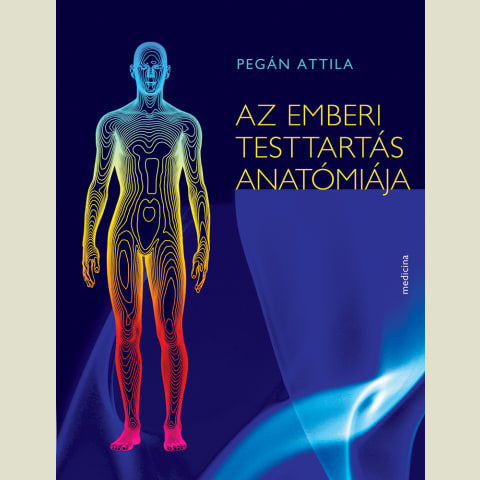 Az emberi testtartás anatómiája